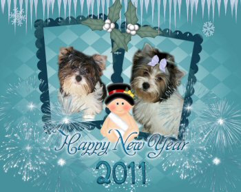 Happy New Year Pups